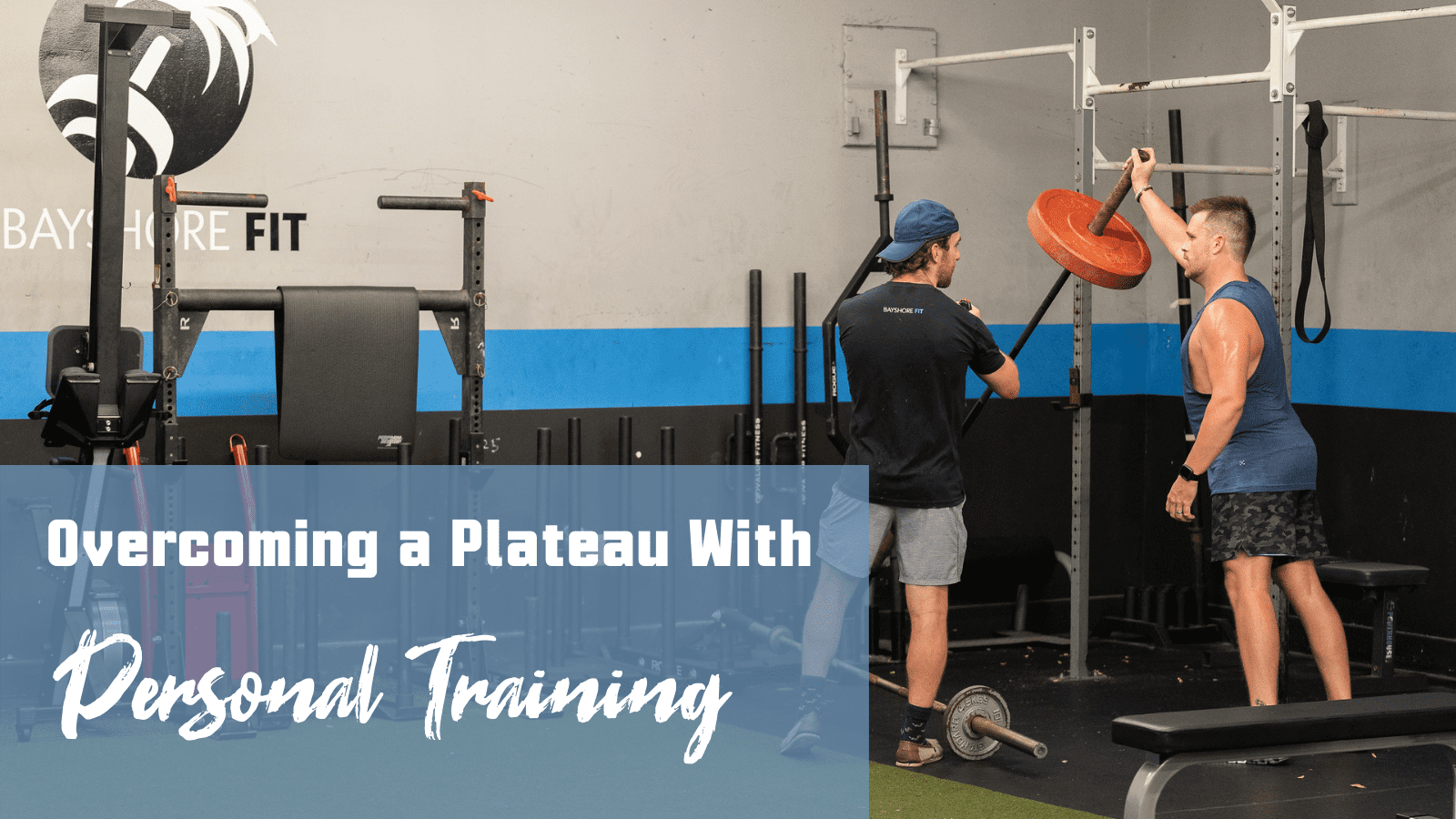 personal training in tampa